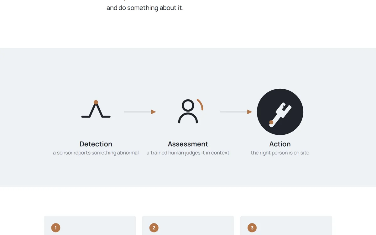 HavenIQ detection assessment action flow diagram